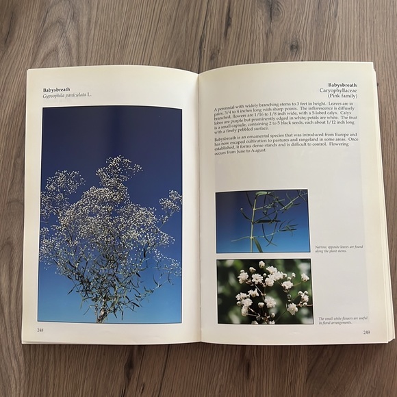 Book: Weeds of the West - Picture 7 of 7